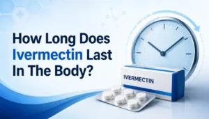 Illustration explaining how long does ivermectin last in the body and its elimination process
